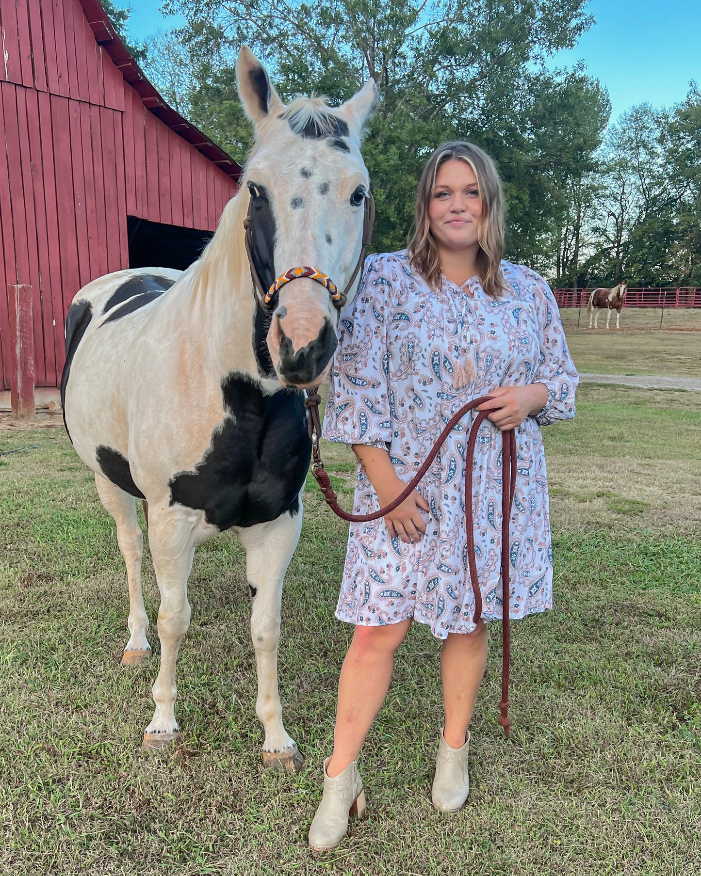 Hold Your Horses Paisley Dress